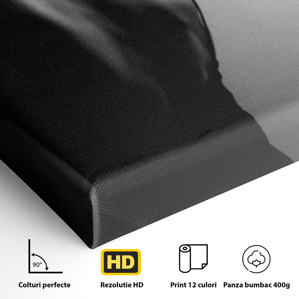 Tablou Canvas Premium, LuxCanva® P1021, Tentatie si Mister, Umbra, Silueta, Feminitate, Sexy, Seducator, Elegant, Monocrom, Dormitor, Living
