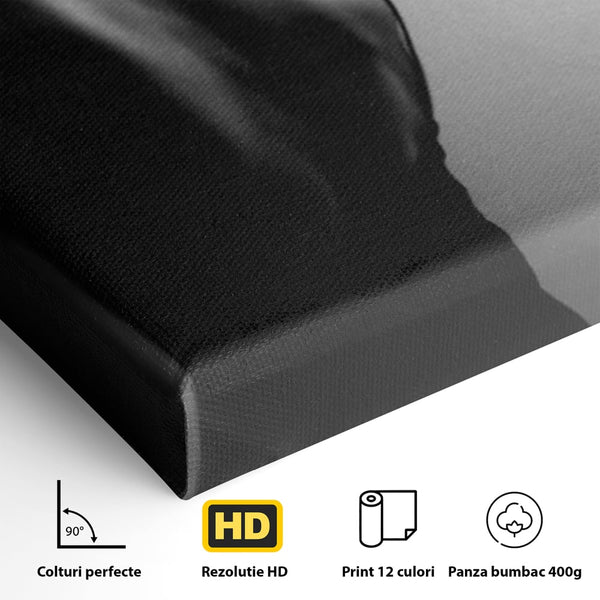 Tablou Canvas Premium, LuxCanva® P1021, Tentatie si Mister, Umbra, Silueta, Feminitate, Sexy, Seducator, Elegant, Monocrom, Dormitor, Living