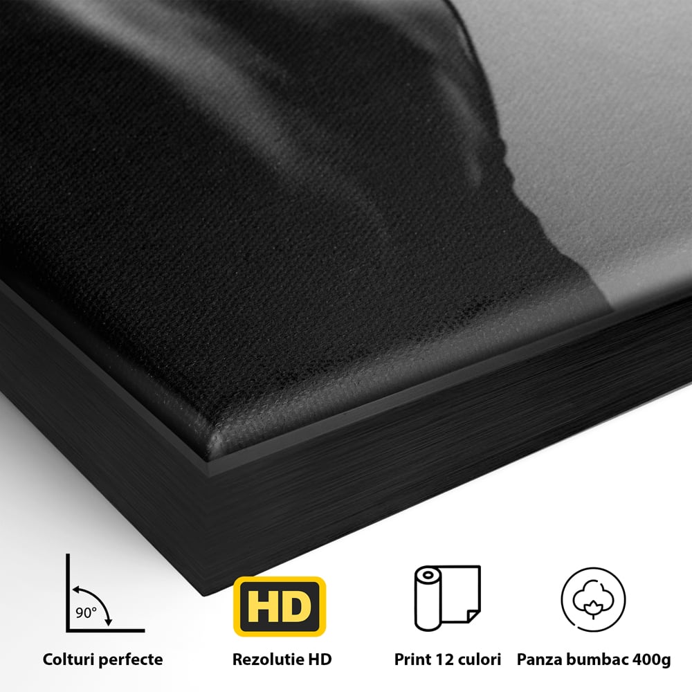 Tablou Canvas Premium, LuxCanva® P1021, Tentatie si Mister, Umbra, Silueta, Feminitate, Sexy, Seducator, Elegant, Monocrom, Dormitor, Living