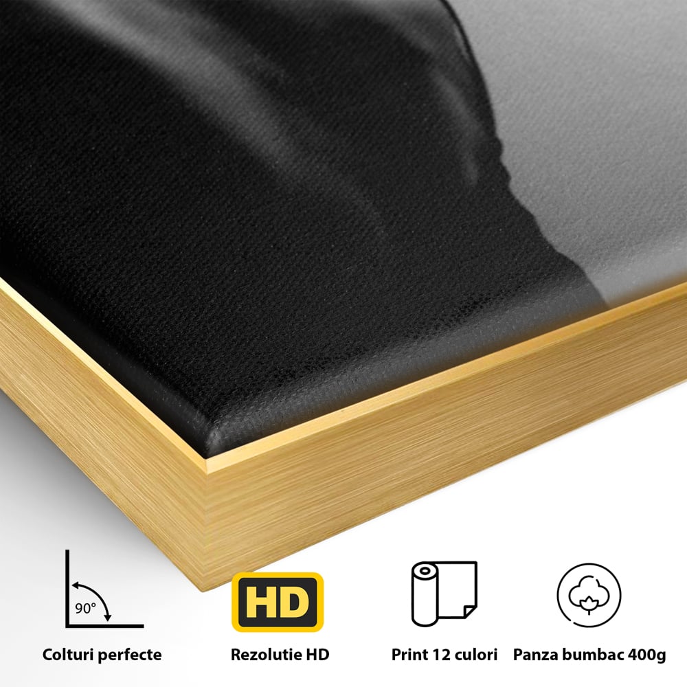 Tablou Canvas Premium, LuxCanva® P1021, Tentatie si Mister, Umbra, Silueta, Feminitate, Sexy, Seducator, Elegant, Monocrom, Dormitor, Living