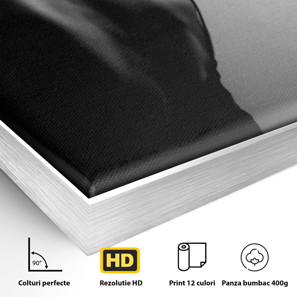 Tablou Canvas Premium, LuxCanva® P1021, Tentatie si Mister, Umbra, Silueta, Feminitate, Sexy, Seducator, Elegant, Monocrom, Dormitor, Living