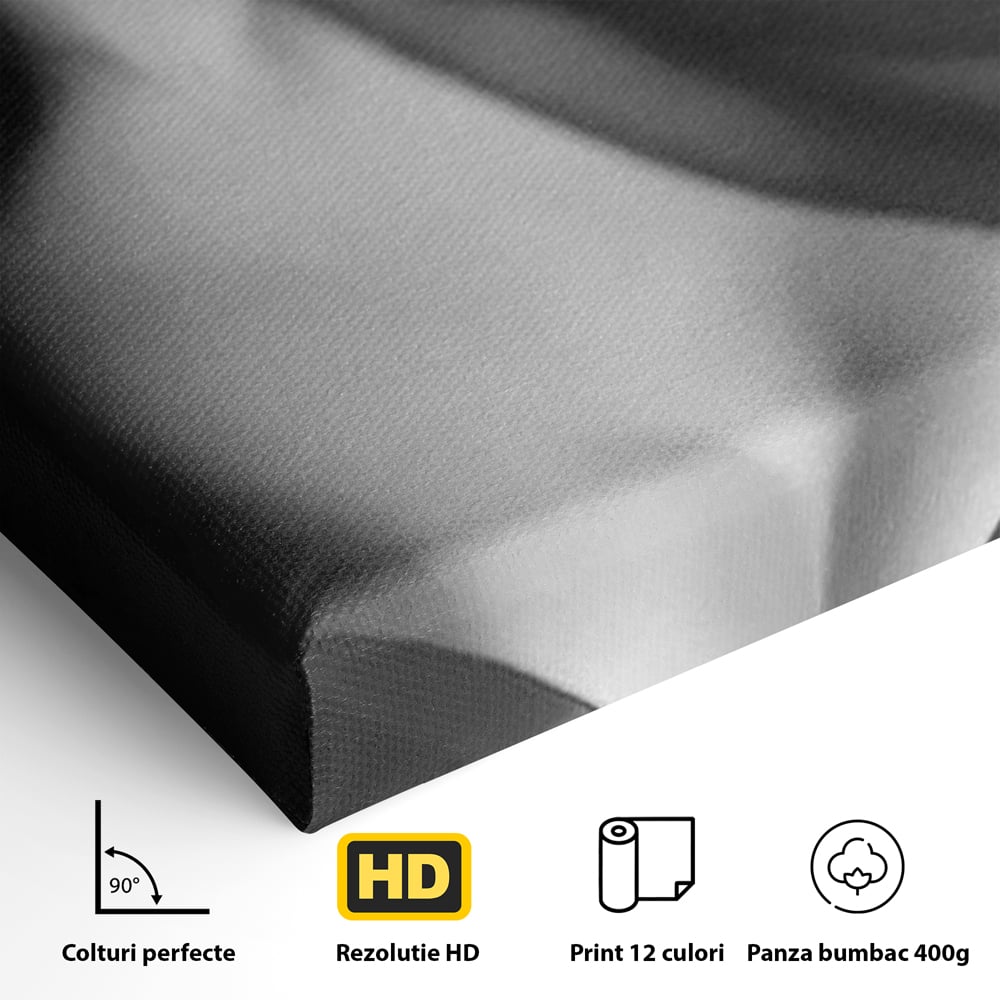 Tablou Canvas Premium, LuxCanva® P1022, Dorinte Nespuse, Sexy, Dorinta, Tentatie, Mister, Alb, Negru, Femeie, Senzualitate, Dormitor, Living