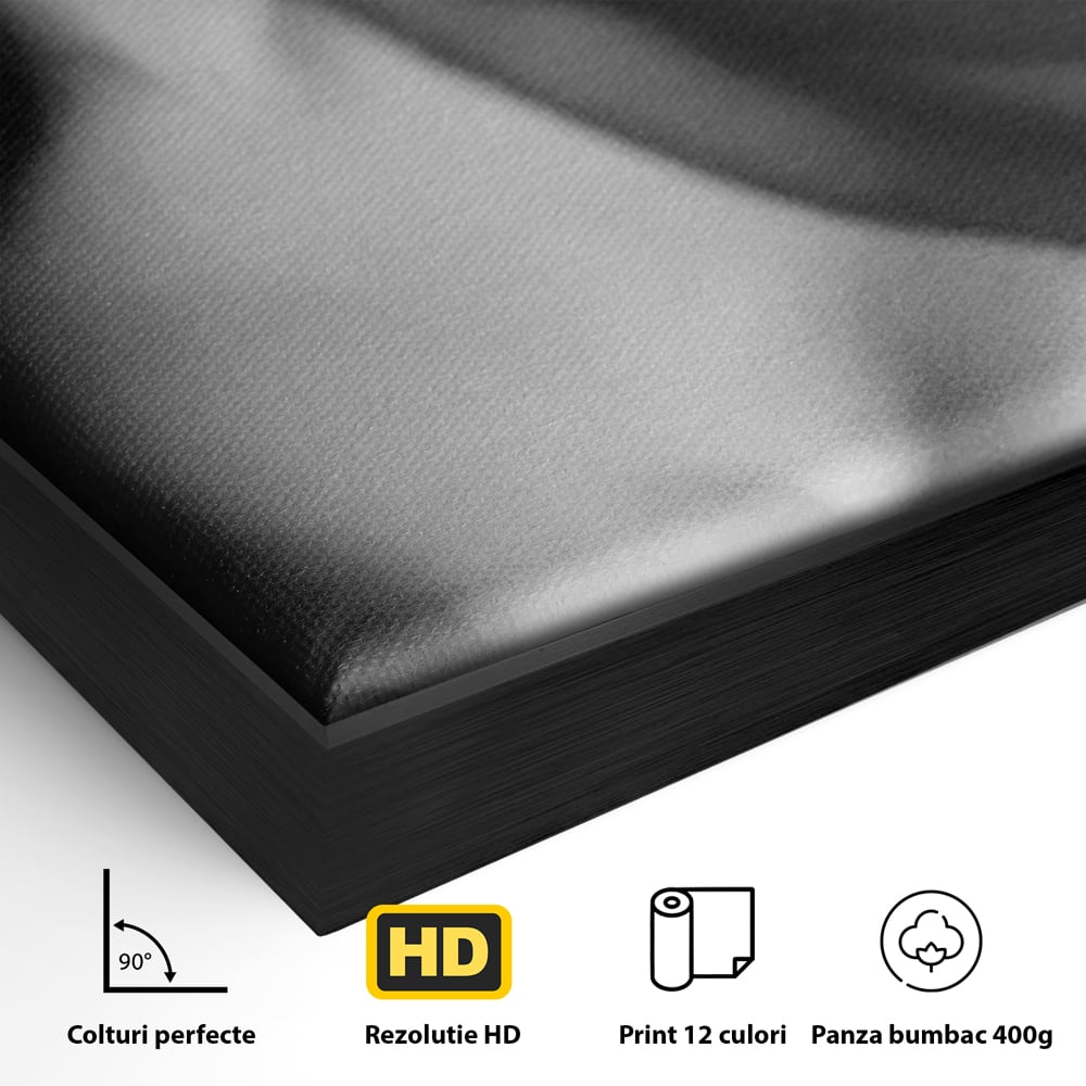 Tablou Canvas Premium, LuxCanva® P1022, Dorinte Nespuse, Sexy, Dorinta, Tentatie, Mister, Alb, Negru, Femeie, Senzualitate, Dormitor, Living