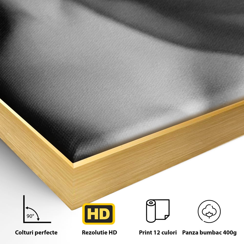 Tablou Canvas Premium, LuxCanva® P1022, Dorinte Nespuse, Sexy, Dorinta, Tentatie, Mister, Alb, Negru, Femeie, Senzualitate, Dormitor, Living