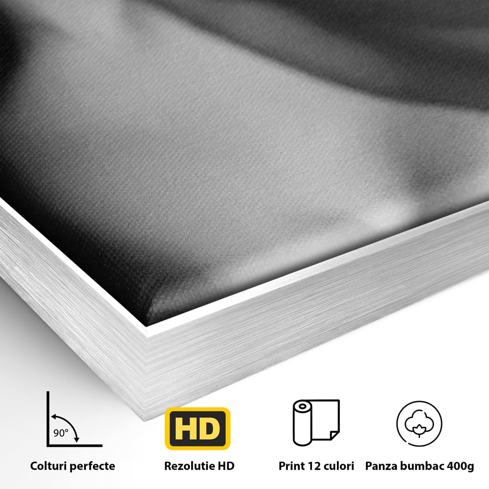 Tablou Canvas Premium, LuxCanva® P1022, Dorinte Nespuse, Sexy, Dorinta, Tentatie, Mister, Alb, Negru, Femeie, Senzualitate, Dormitor, Living