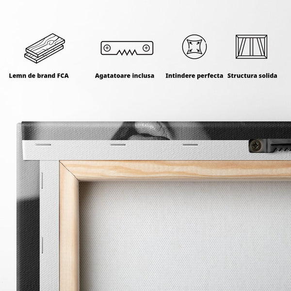 Tablou Canvas Premium, LuxCanva® P1022, Dorinte Nespuse, Sexy, Dorinta, Tentatie, Mister, Alb, Negru, Femeie, Senzualitate, Dormitor, Living