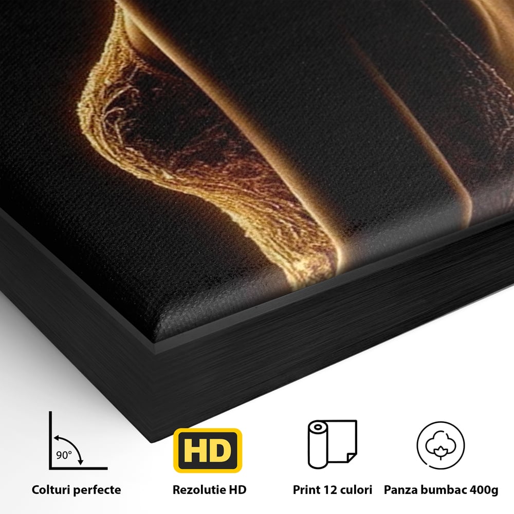 Tablou Canvas Premium, LuxCanva® P1023, Flacara Feminitatii, Silueta, Femeie, Frumusete, Rochie, Umbra, Mister, Foc, Caldura, Dormitor, Living