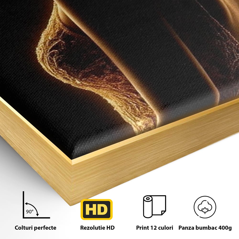 Tablou Canvas Premium, LuxCanva® P1023, Flacara Feminitatii, Silueta, Femeie, Frumusete, Rochie, Umbra, Mister, Foc, Caldura, Dormitor, Living