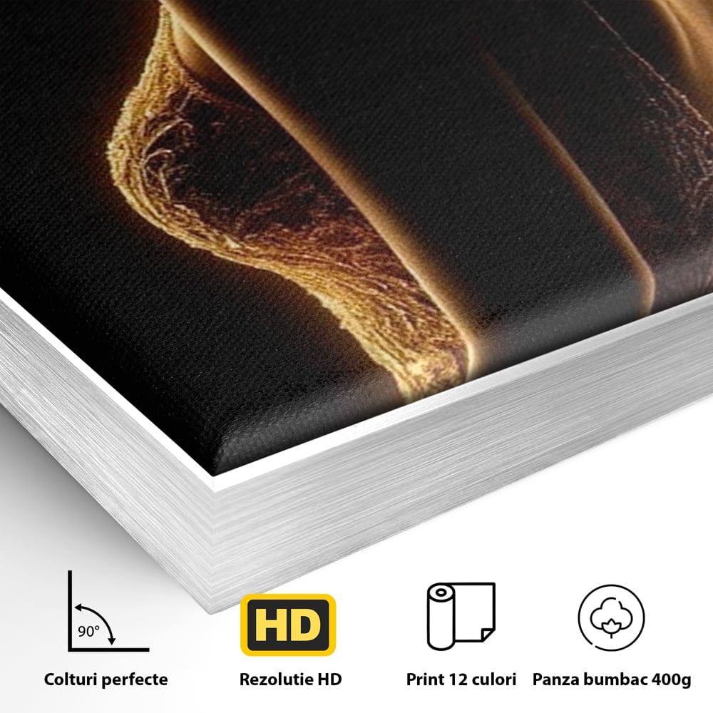 Tablou Canvas Premium, LuxCanva® P1023, Flacara Feminitatii, Silueta, Femeie, Frumusete, Rochie, Umbra, Mister, Foc, Caldura, Dormitor, Living
