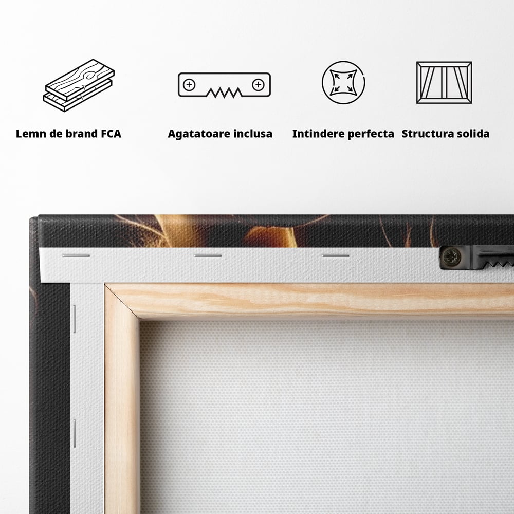 Tablou Canvas Premium, LuxCanva® P1023, Flacara Feminitatii, Silueta, Femeie, Frumusete, Rochie, Umbra, Mister, Foc, Caldura, Dormitor, Living