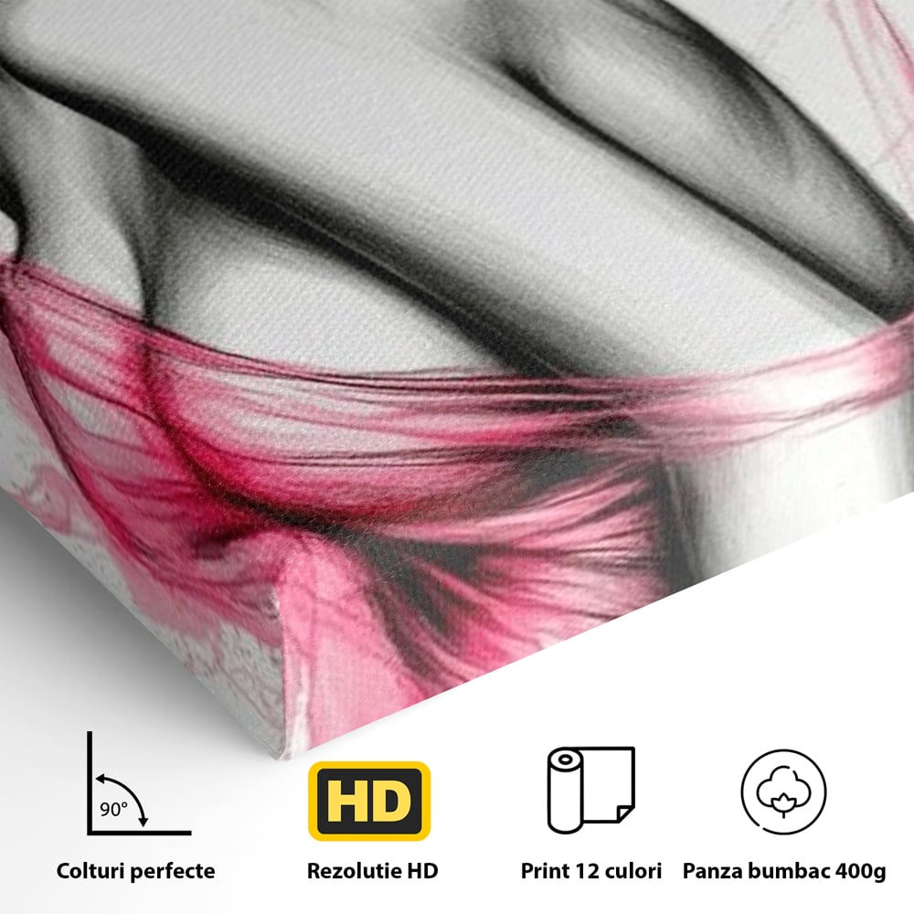 Tablou Canvas Premium, LuxCanva® P1030, Dansul Seductiei, Sexy, Trup, Femeie, Contur, Senzual, Pasiune, Dorinta, Frumusete, Magnetism, Dormitor, Living