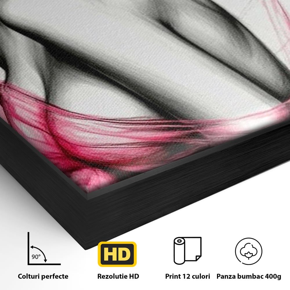 Tablou Canvas Premium, LuxCanva® P1030, Dansul Seductiei, Sexy, Trup, Femeie, Contur, Senzual, Pasiune, Dorinta, Frumusete, Magnetism, Dormitor, Living