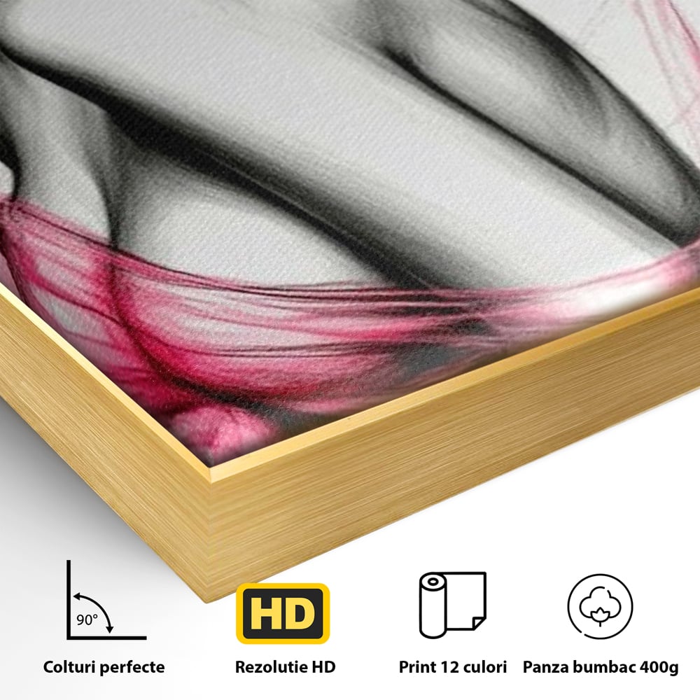 Tablou Canvas Premium, LuxCanva® P1030, Dansul Seductiei, Sexy, Trup, Femeie, Contur, Senzual, Pasiune, Dorinta, Frumusete, Magnetism, Dormitor, Living