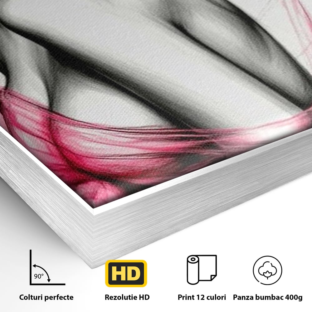 Tablou Canvas Premium, LuxCanva® P1030, Dansul Seductiei, Sexy, Trup, Femeie, Contur, Senzual, Pasiune, Dorinta, Frumusete, Magnetism, Dormitor, Living