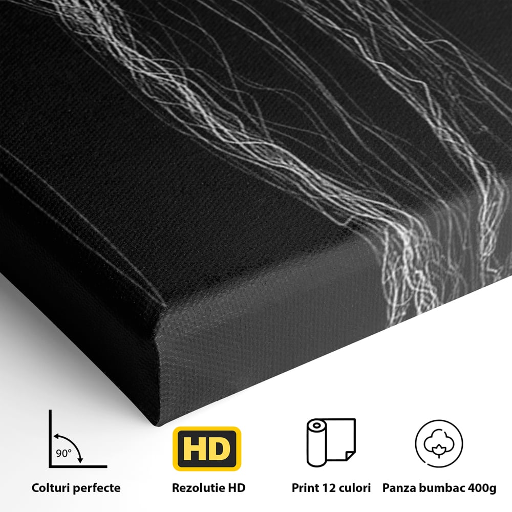 Leinwand Premium Canvas Wandkunst, LuxCanva® P1033, Himmelfahrt des Körpers, Weiß, Schwarz, Linien, Abstrakt, Abstrakt, Frau, Silhouette, Sexy, Silhouette, Umriss, Umriss, künstlerisch, Schlafzimmer, Wohnzimmer