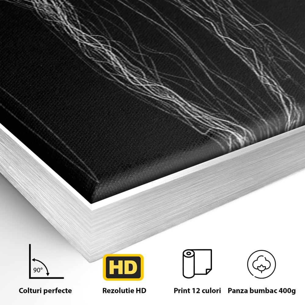 Leinwand Premium Canvas Wandkunst, LuxCanva® P1033, Himmelfahrt des Körpers, Weiß, Schwarz, Linien, Abstrakt, Abstrakt, Frau, Silhouette, Sexy, Silhouette, Umriss, Umriss, künstlerisch, Schlafzimmer, Wohnzimmer