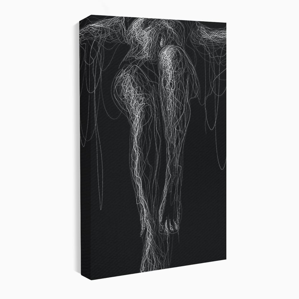 Leinwand Premium Canvas Wandkunst, LuxCanva® P1033, Himmelfahrt des Körpers, Weiß, Schwarz, Linien, Abstrakt, Abstrakt, Frau, Silhouette, Sexy, Silhouette, Umriss, Umriss, künstlerisch, Schlafzimmer, Wohnzimmer