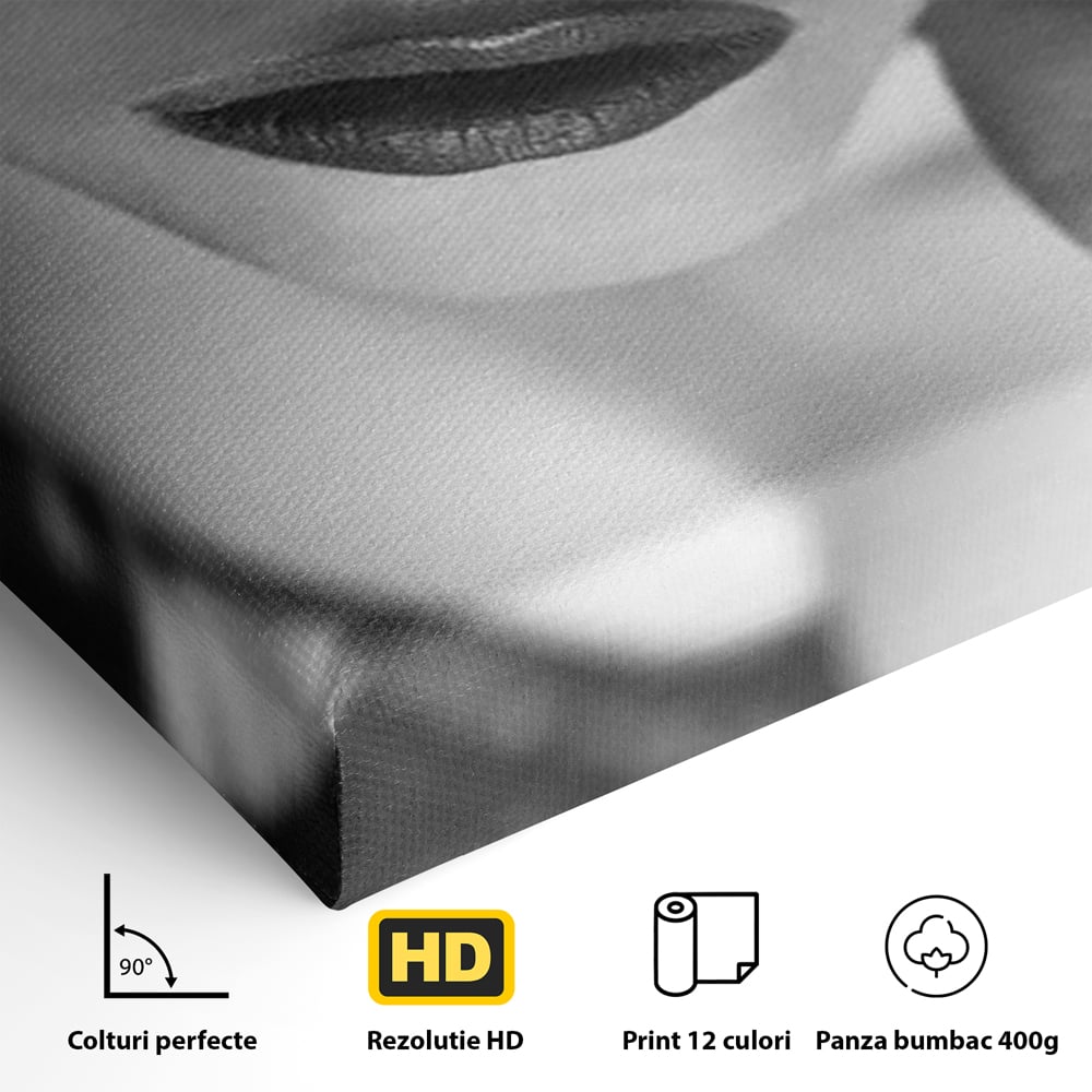 Tablou Canvas Premium, LuxCanva® P1037, Masca Pasională, Masca, Dantela, Negru, Monocrom, Senzualitate, Pasiune, Frumusete, Seducator, Mister, Dramatism, Living, Dormitor
