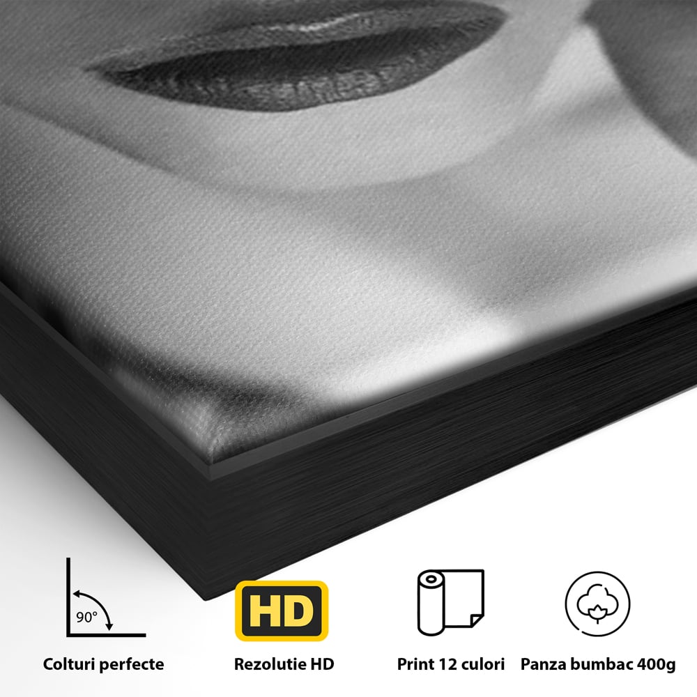 Tablou Canvas Premium, LuxCanva® P1037, Masca Pasională, Masca, Dantela, Negru, Monocrom, Senzualitate, Pasiune, Frumusete, Seducator, Mister, Dramatism, Living, Dormitor