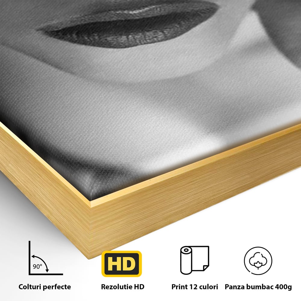 Tablou Canvas Premium, LuxCanva® P1037, Masca Pasională, Masca, Dantela, Negru, Monocrom, Senzualitate, Pasiune, Frumusete, Seducator, Mister, Dramatism, Living, Dormitor