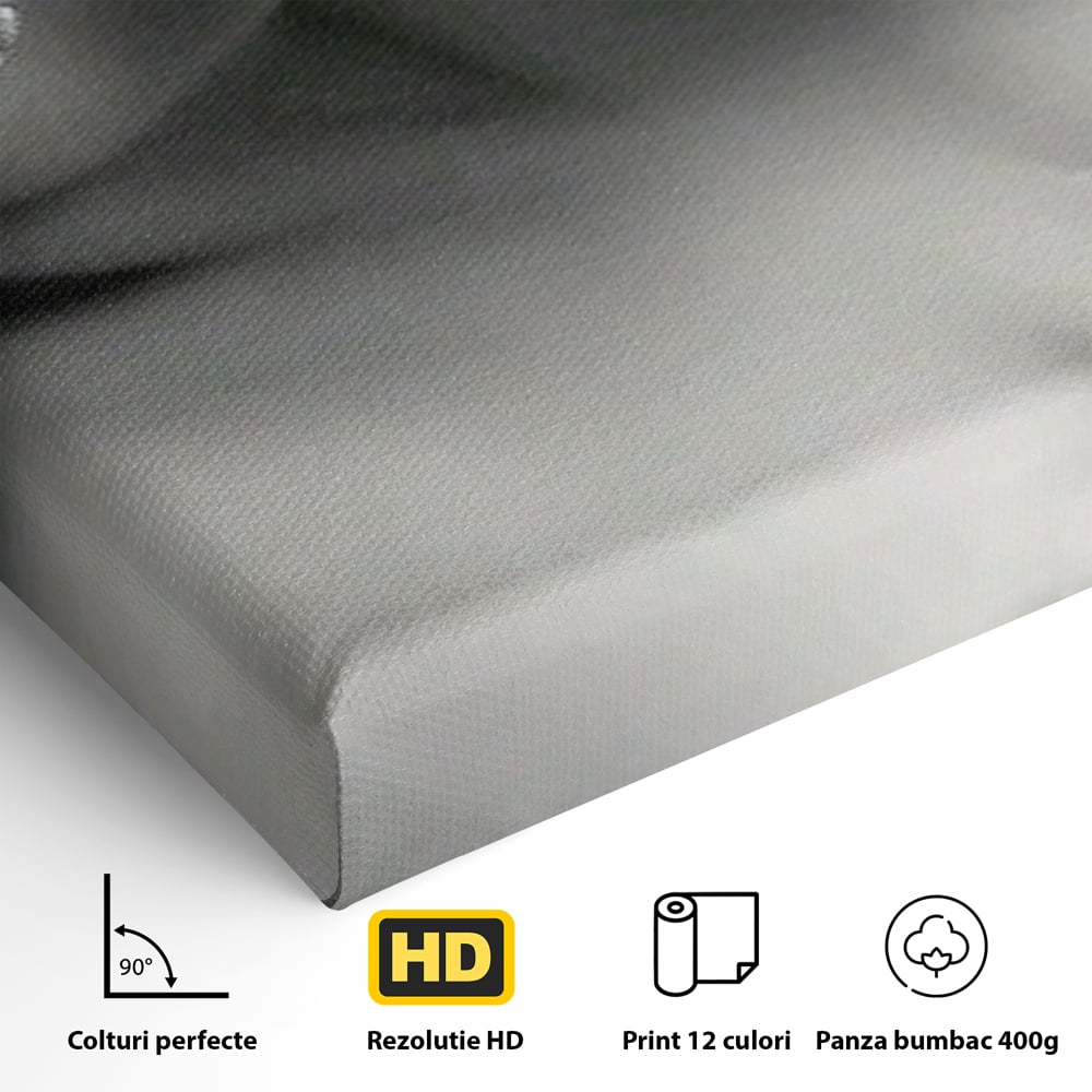 Tablou Canvas Premium, LuxCanva® P1038, Între Puritate și Păcat, Masca, Dantela, Alb, Mar, Rosu, Pacat, Inocenta, Dorinta, Privire, Fior, Tentatie, Fruct, Interzis, Living, Dormitor