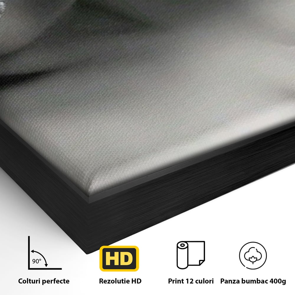 Tablou Canvas Premium, LuxCanva® P1038, Între Puritate și Păcat, Masca, Dantela, Alb, Mar, Rosu, Pacat, Inocenta, Dorinta, Privire, Fior, Tentatie, Fruct, Interzis, Living, Dormitor