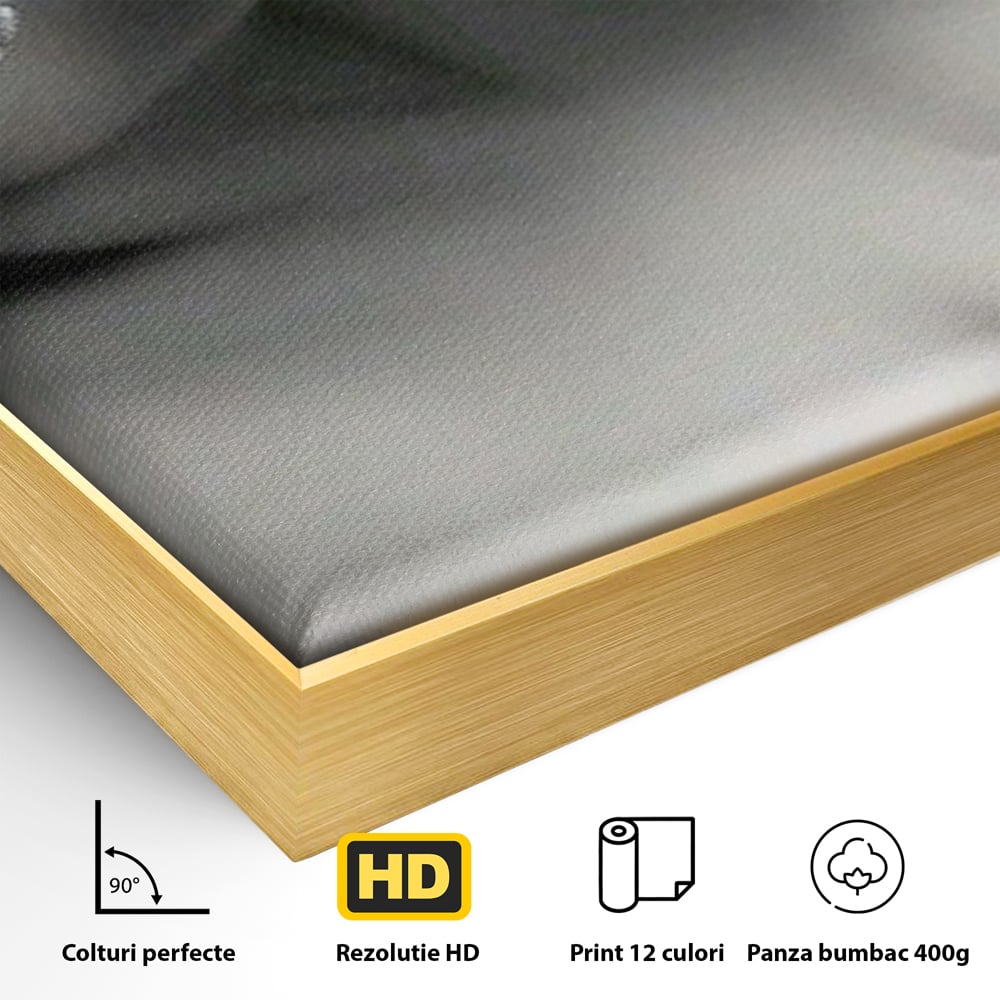 Tablou Canvas Premium, LuxCanva® P1038, Între Puritate și Păcat, Masca, Dantela, Alb, Mar, Rosu, Pacat, Inocenta, Dorinta, Privire, Fior, Tentatie, Fruct, Interzis, Living, Dormitor