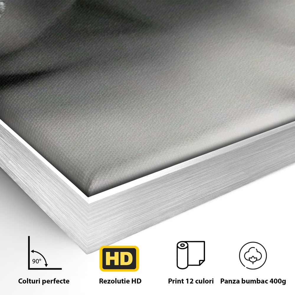 Tablou Canvas Premium, LuxCanva® P1038, Între Puritate și Păcat, Masca, Dantela, Alb, Mar, Rosu, Pacat, Inocenta, Dorinta, Privire, Fior, Tentatie, Fruct, Interzis, Living, Dormitor
