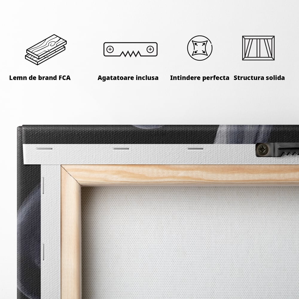 Tablou Canvas Premium, LuxCanva® P1040, Liniște cu Aroma de Vin, Pahar, Bautura, Vin, Rosu, Noapte, Umbra, Negru, Gri, Spate, Piele, Femeie, Dorinta, Pasiune, Sexy, Living, Dormitor