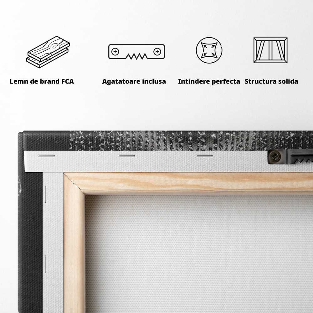 Tablou Canvas Premium, LuxCanva® P1041, Sub Ploaia de Diamante, Diamante, Ploaie, Regina, Cristal, Sclipire, Lanturi, Hipnotic, Sedinta, Fotomodel, Buze, Rosu, Living, Dormitor
