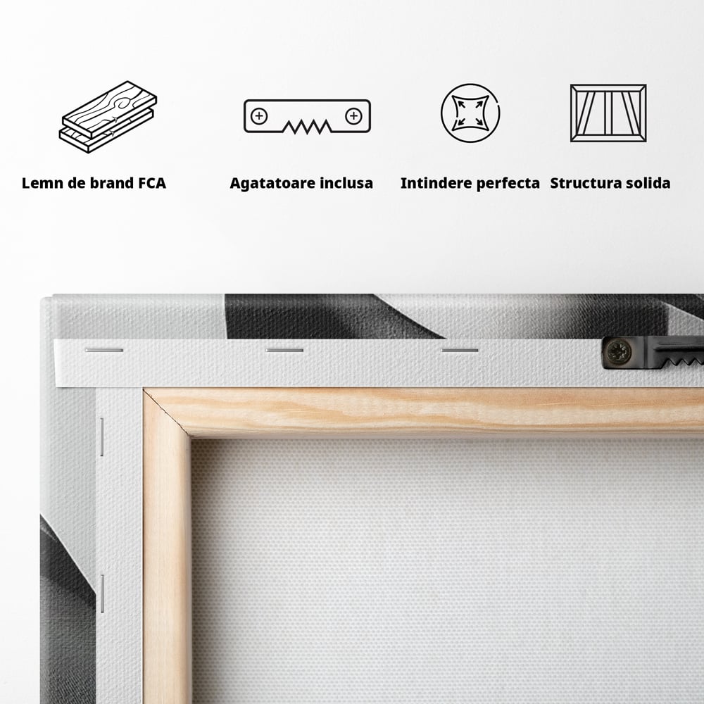 Tablou Canvas Premium, LuxCanva® P1042, Voalul Care Dezvaluie, Voal, Negru, Privire, Ascuns, Feminitate, Minimalism, Tacere, Gratie, Intunecat, Dorinta, Frumusete, Living, Dormitor