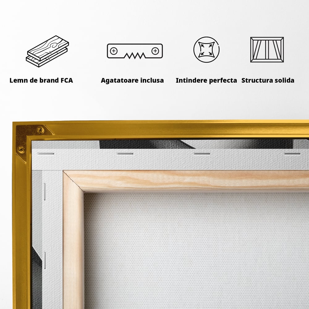 Tablou Canvas Premium, LuxCanva® P1042, Voalul Care Dezvaluie, Voal, Negru, Privire, Ascuns, Feminitate, Minimalism, Tacere, Gratie, Intunecat, Dorinta, Frumusete, Living, Dormitor