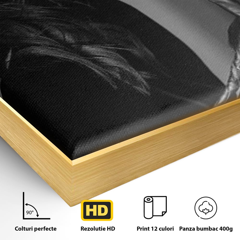 Tablou Canvas Premium, LuxCanva® P1047, Puterea din Mănuși, Autoritate, Manusi, Eleganta, Palarie, Putere, Feminina, Teatralitate, Senzualitate, Provocare, Sexy, Living, Dormitor