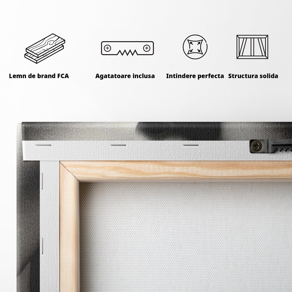 Leinwand Premium Leinwand Wandbilder, LuxCanva® P1051, Geschmack der Sünde, Versuchung, Rot, Erdbeere, Geschmack, Verboten, Süß, Spitze, Kuss, Weiß, Schwarz, Verlockend, Dramatisch, Mysterium, Wohnen, Schlafzimmer
