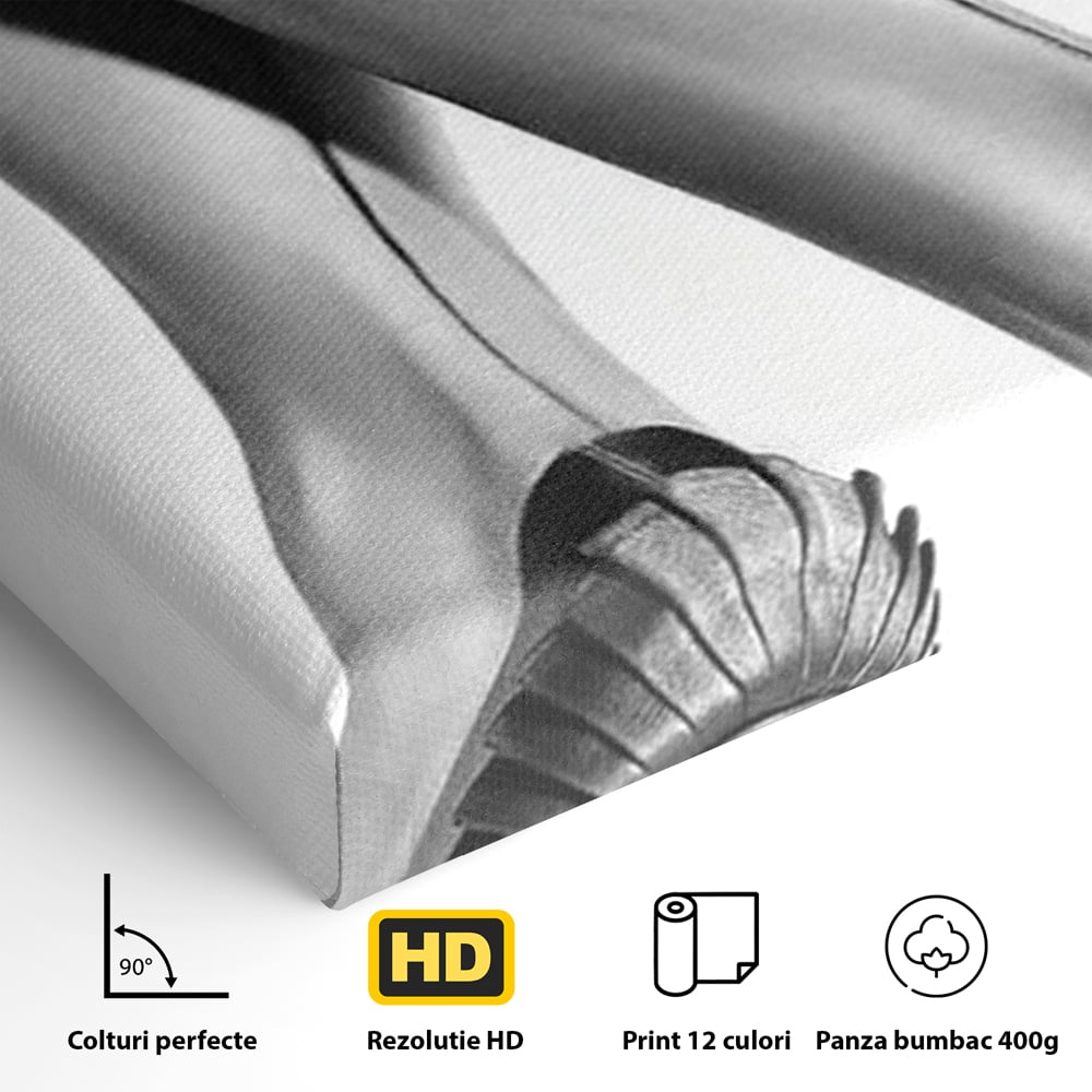 Tablou Canvas Premium, LuxCanva® P1052, Rafinament in Miscare, Dres, Linie, Pantofi, Tocuri, Pasi, Eleganta, Arta, Moda, Glamour, Picioare, Detaliu, Alb, Negru, Living, Dormitor