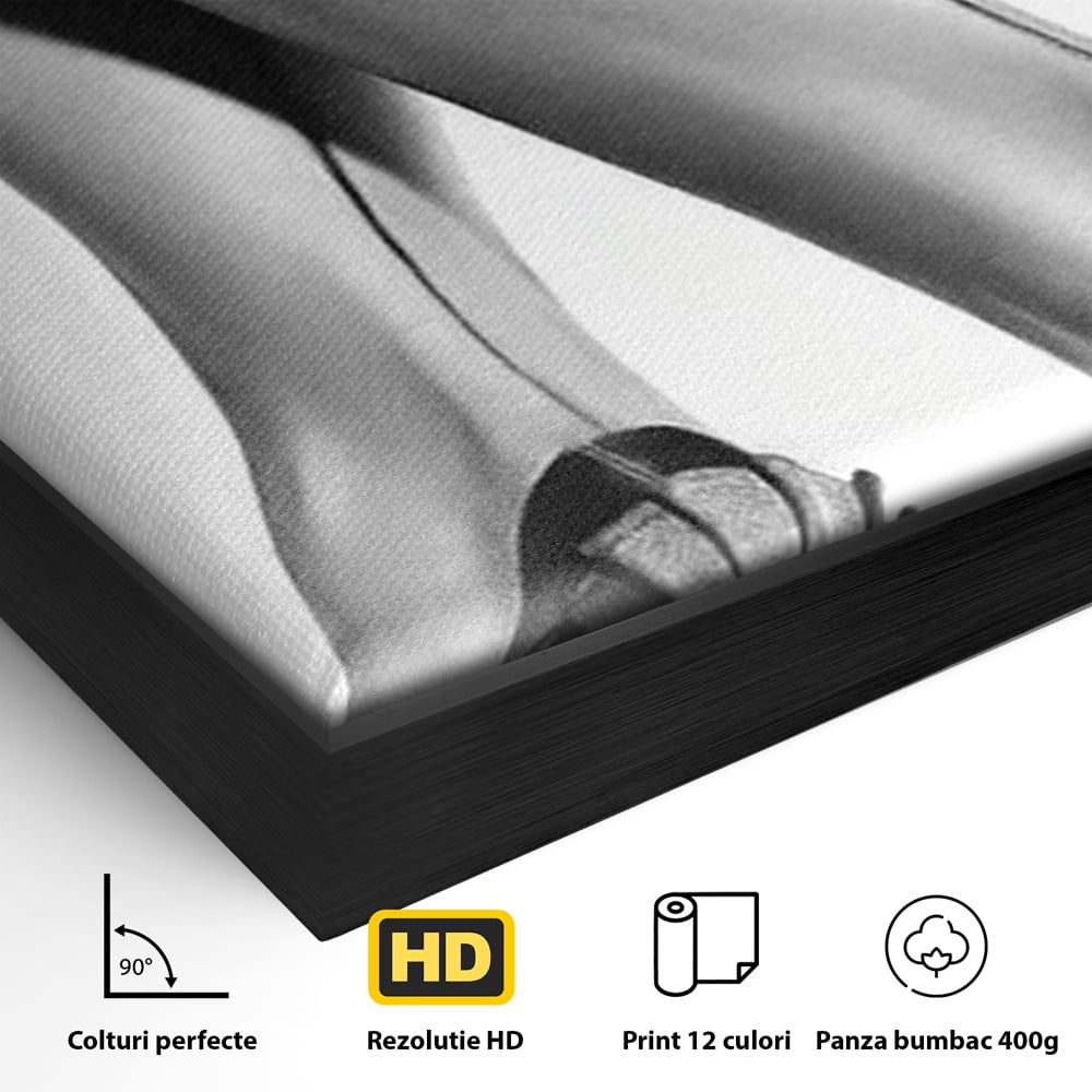 Tablou Canvas Premium, LuxCanva® P1052, Rafinament in Miscare, Dres, Linie, Pantofi, Tocuri, Pasi, Eleganta, Arta, Moda, Glamour, Picioare, Detaliu, Alb, Negru, Living, Dormitor