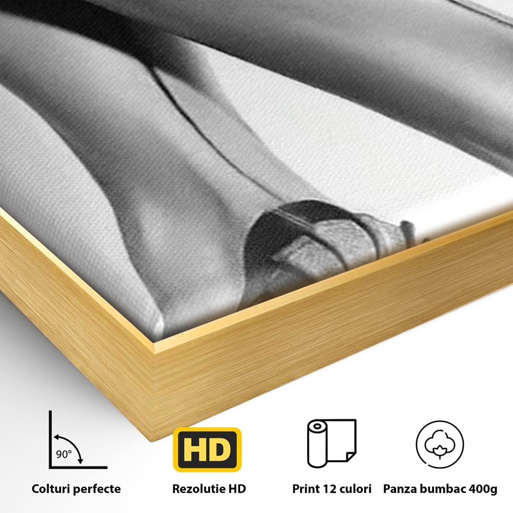 Tablou Canvas Premium, LuxCanva® P1052, Rafinament in Miscare, Dres, Linie, Pantofi, Tocuri, Pasi, Eleganta, Arta, Moda, Glamour, Picioare, Detaliu, Alb, Negru, Living, Dormitor