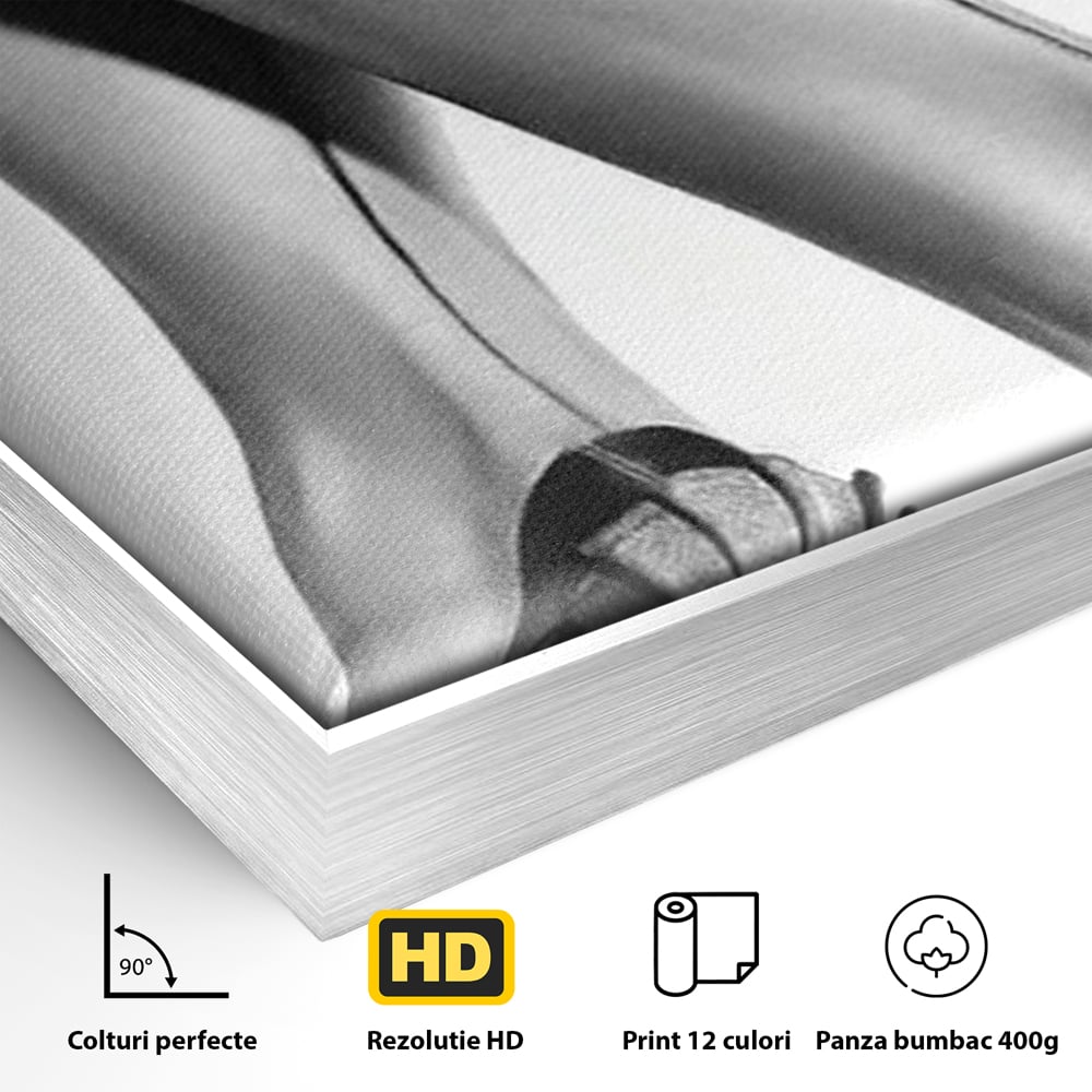 Tablou Canvas Premium, LuxCanva® P1052, Rafinament in Miscare, Dres, Linie, Pantofi, Tocuri, Pasi, Eleganta, Arta, Moda, Glamour, Picioare, Detaliu, Alb, Negru, Living, Dormitor
