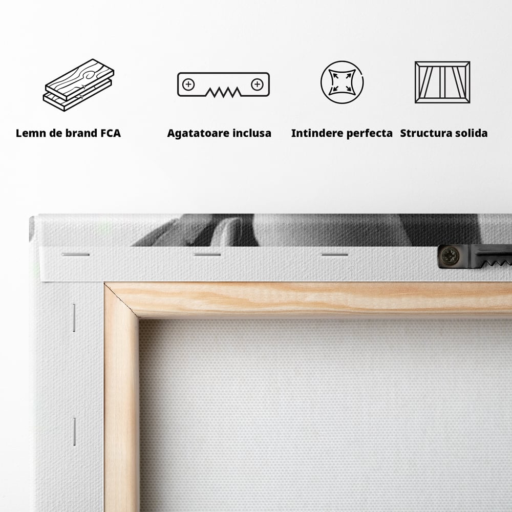Tablou Canvas Premium, LuxCanva® P1052, Rafinament in Miscare, Dres, Linie, Pantofi, Tocuri, Pasi, Eleganta, Arta, Moda, Glamour, Picioare, Detaliu, Alb, Negru, Living, Dormitor