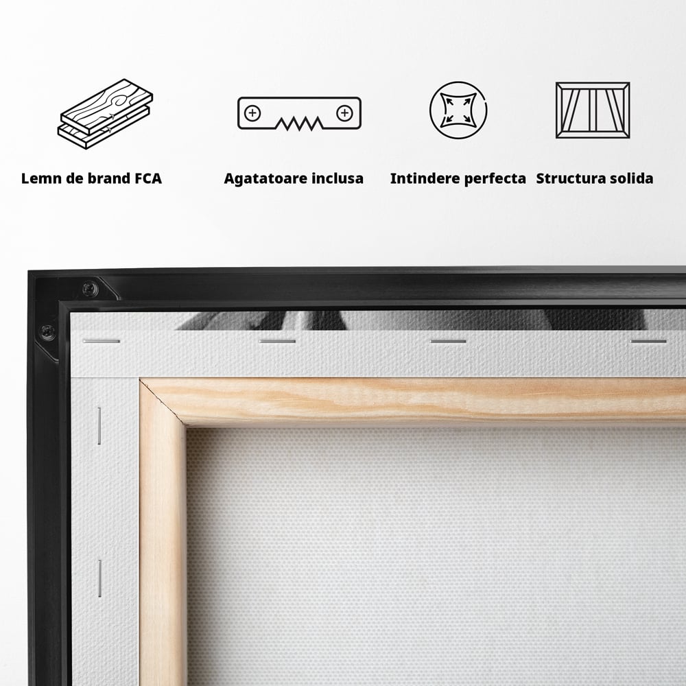 Tablou Canvas Premium, LuxCanva® P1052, Rafinament in Miscare, Dres, Linie, Pantofi, Tocuri, Pasi, Eleganta, Arta, Moda, Glamour, Picioare, Detaliu, Alb, Negru, Living, Dormitor