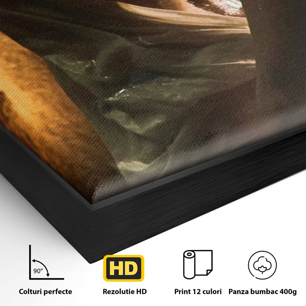 Leinwand Premium Canvas Wandkunst, LuxCanva® P1054, Wasser gewickelt, Licht, warm, Wasser, Textur, Schatten, nass, Ton, golden, sinnlich, sexy, flüssig, Spritzer, Schatten, Bewegung, Wohnen, Schlafzimmer
