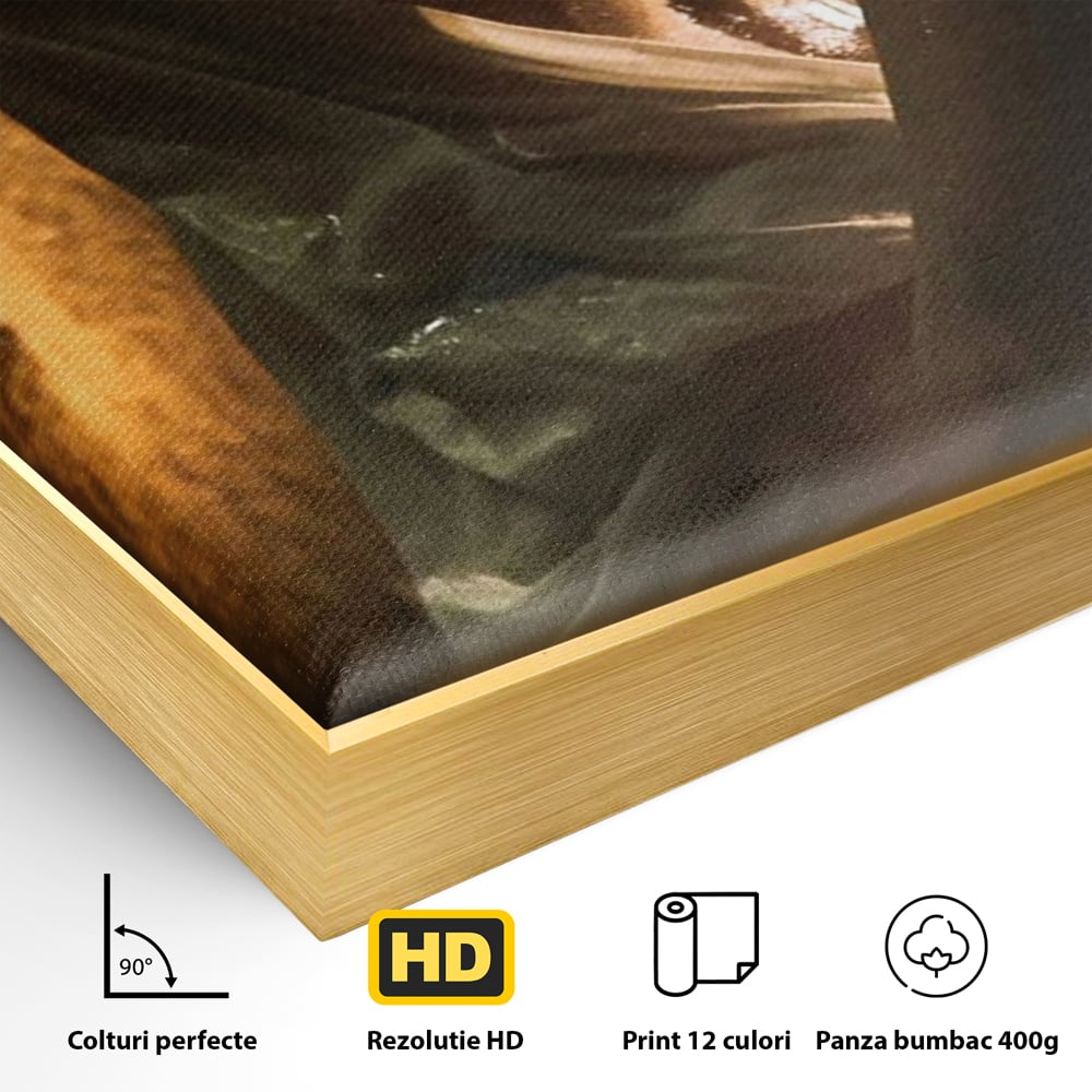 Leinwand Premium Canvas Wandkunst, LuxCanva® P1054, Wasser gewickelt, Licht, warm, Wasser, Textur, Schatten, nass, Ton, golden, sinnlich, sexy, flüssig, Spritzer, Schatten, Bewegung, Wohnen, Schlafzimmer