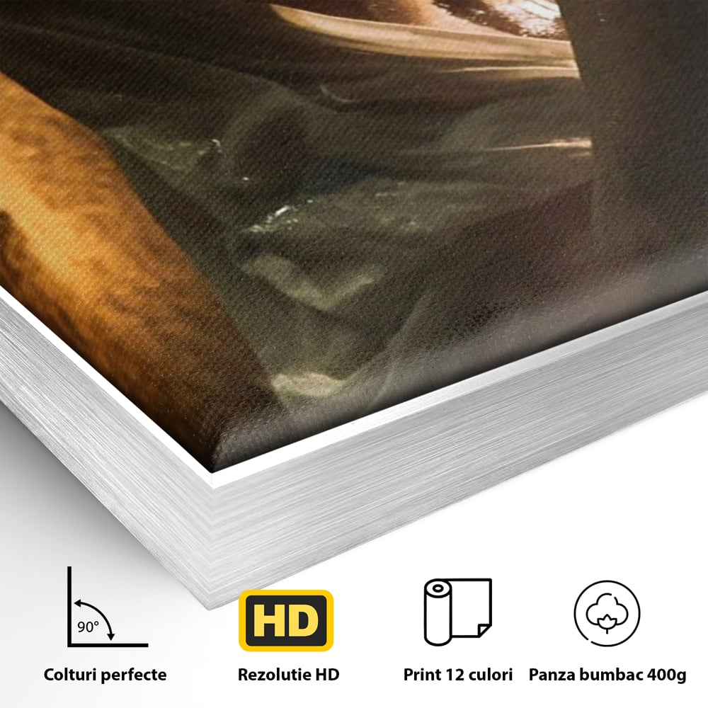 Leinwand Premium Canvas Wandkunst, LuxCanva® P1054, Wasser gewickelt, Licht, warm, Wasser, Textur, Schatten, nass, Ton, golden, sinnlich, sexy, flüssig, Spritzer, Schatten, Bewegung, Wohnen, Schlafzimmer
