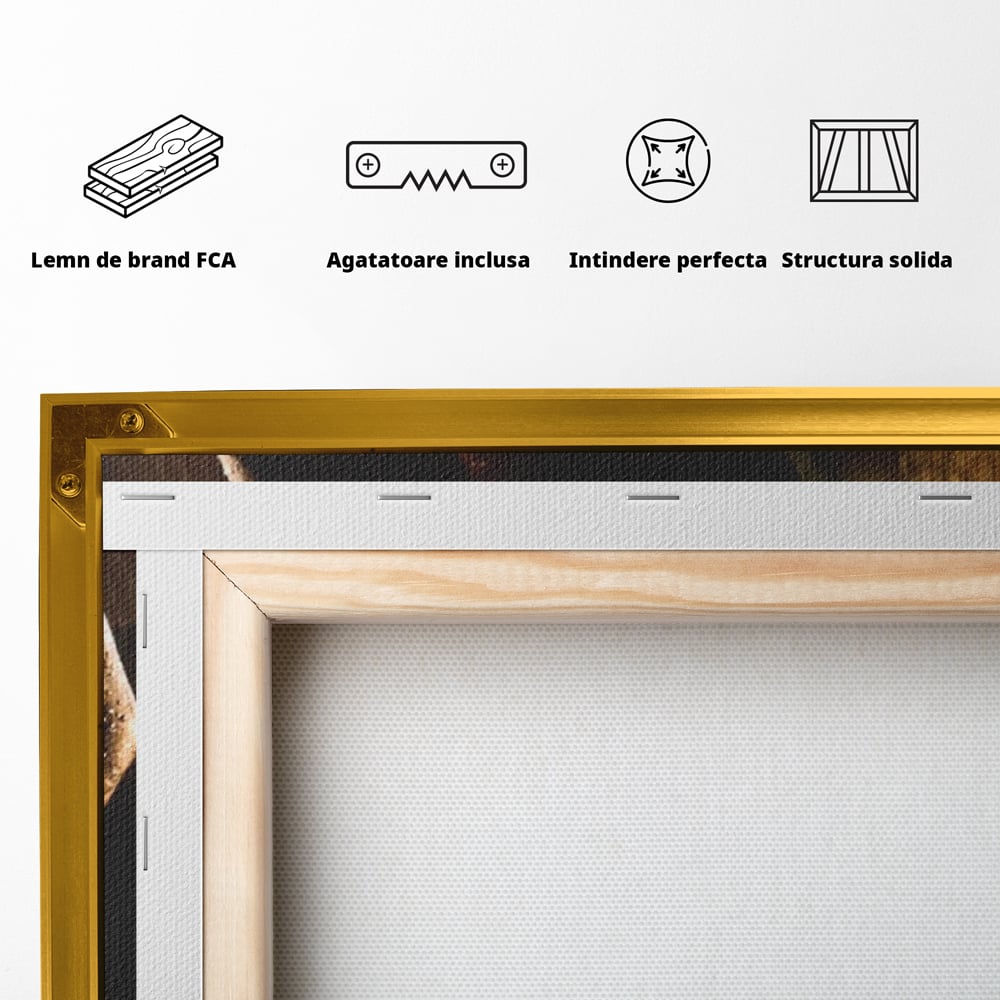 Leinwand Premium Canvas Wandkunst, LuxCanva® P1054, Wasser gewickelt, Licht, warm, Wasser, Textur, Schatten, nass, Ton, golden, sinnlich, sexy, flüssig, Spritzer, Schatten, Bewegung, Wohnen, Schlafzimmer