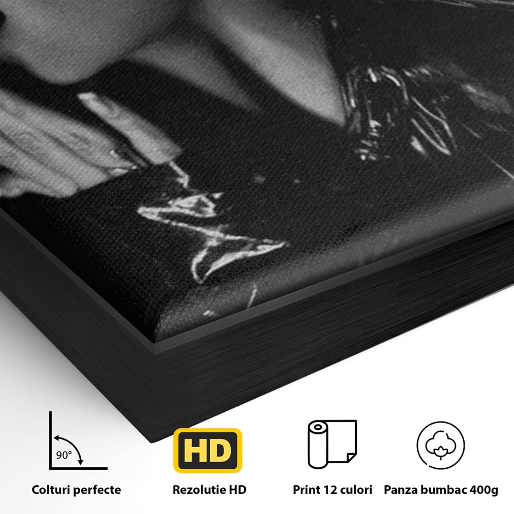 Leinwand Premium Canvas Wandkunst, LuxCanva® P1058, Im Zeichen der Katze, Maske, Exzentrisch, Identität, Schwarz, Nächtlich, Spiel, Ritual, Katze, Kostüm, Sinnlich, Provokativ, Wohnen, Schlafzimmer