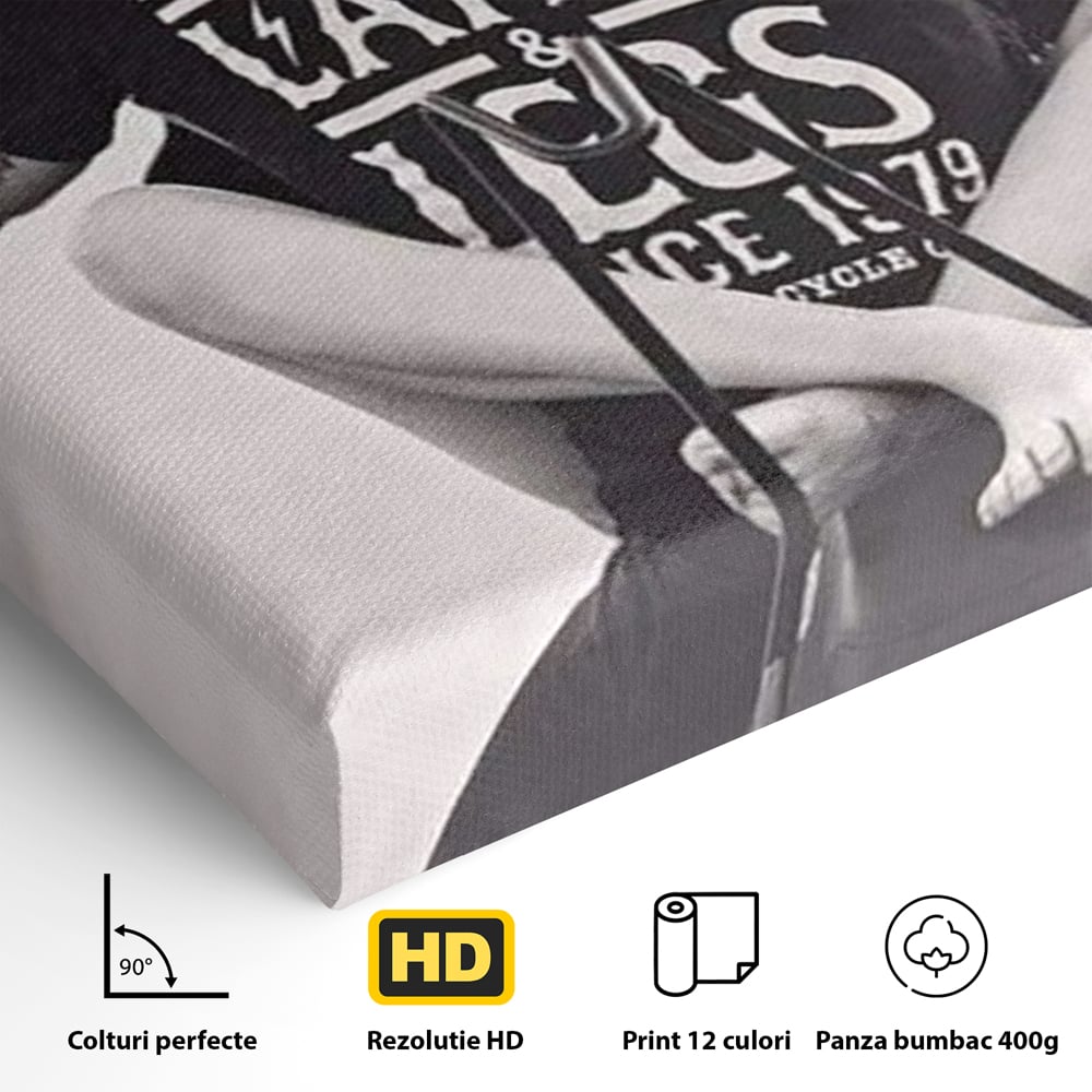 Tablou Canvas Premium, LuxCanva® P1067, Indragostiti pe Asfalt, Calatorie, Aventura, Cuplu, Pasiune, Viteza, Provocator, Dormitor, Living