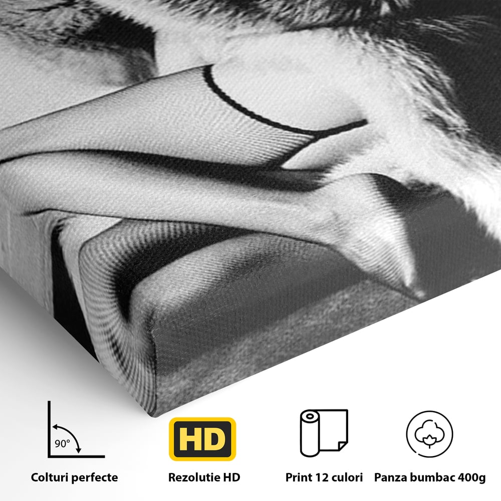 Tablou Canvas Premium, LuxCanva® P1069, Seductie intr-o Noapte Rece, Vintage, Dresuri, Blanuri, Chic, Femeie, Senzualitate, Sexy, Dormitor, Living