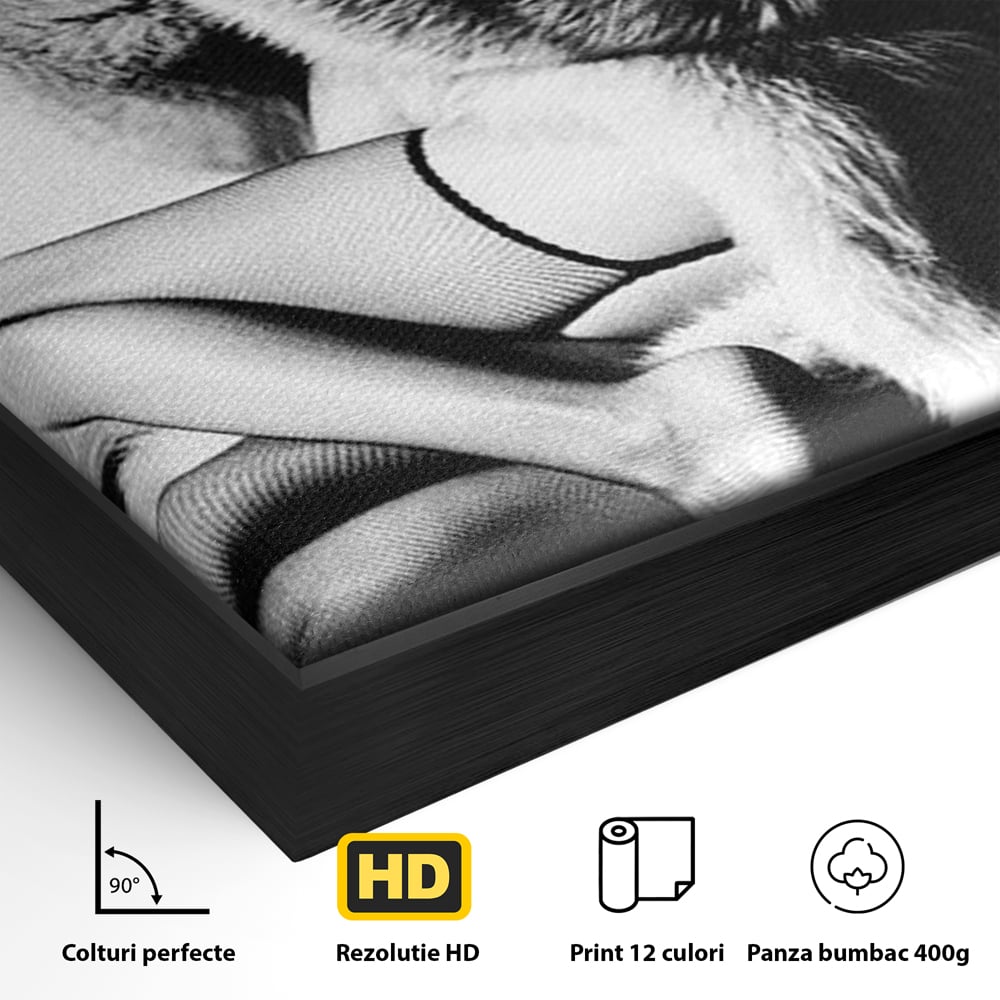 Tablou Canvas Premium, LuxCanva® P1069, Seductie intr-o Noapte Rece, Vintage, Dresuri, Blanuri, Chic, Femeie, Senzualitate, Sexy, Dormitor, Living