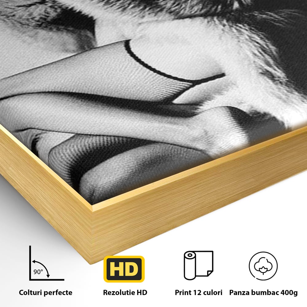 Tablou Canvas Premium, LuxCanva® P1069, Seductie intr-o Noapte Rece, Vintage, Dresuri, Blanuri, Chic, Femeie, Senzualitate, Sexy, Dormitor, Living