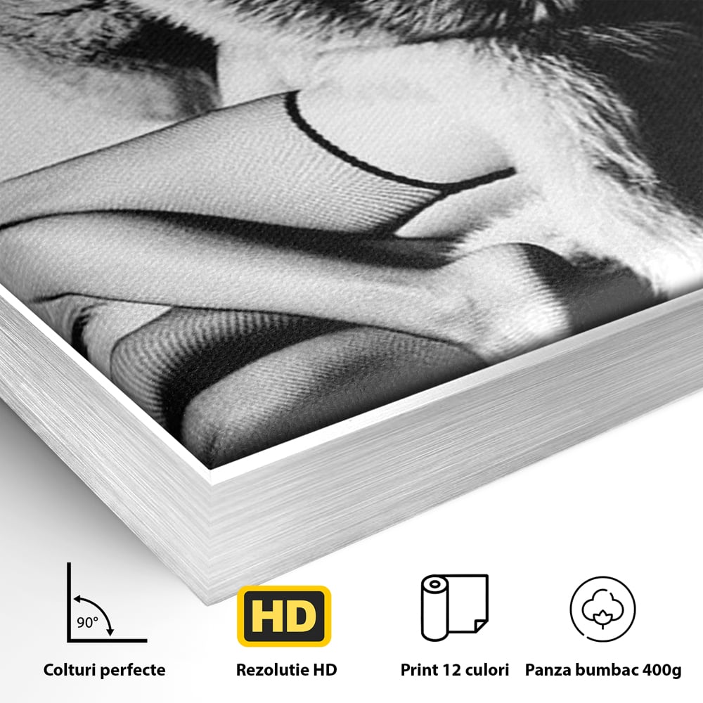 Tablou Canvas Premium, LuxCanva® P1069, Seductie intr-o Noapte Rece, Vintage, Dresuri, Blanuri, Chic, Femeie, Senzualitate, Sexy, Dormitor, Living